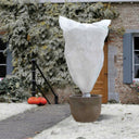 Velos de hibernación