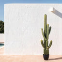 Plantas artificiales