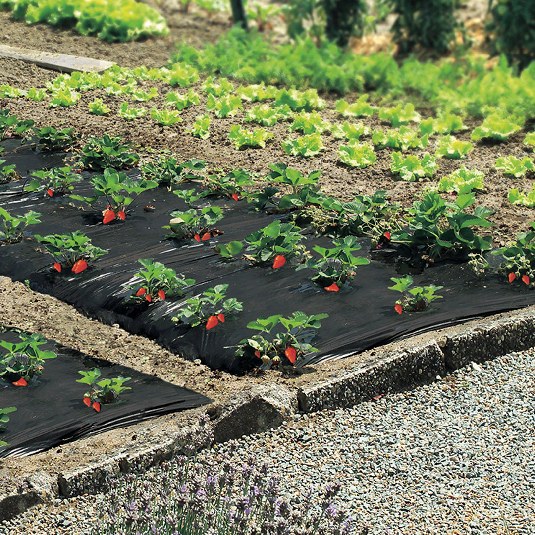 Film de acolchamiento para fresas fresafilm 1.4x10 m negro nortene