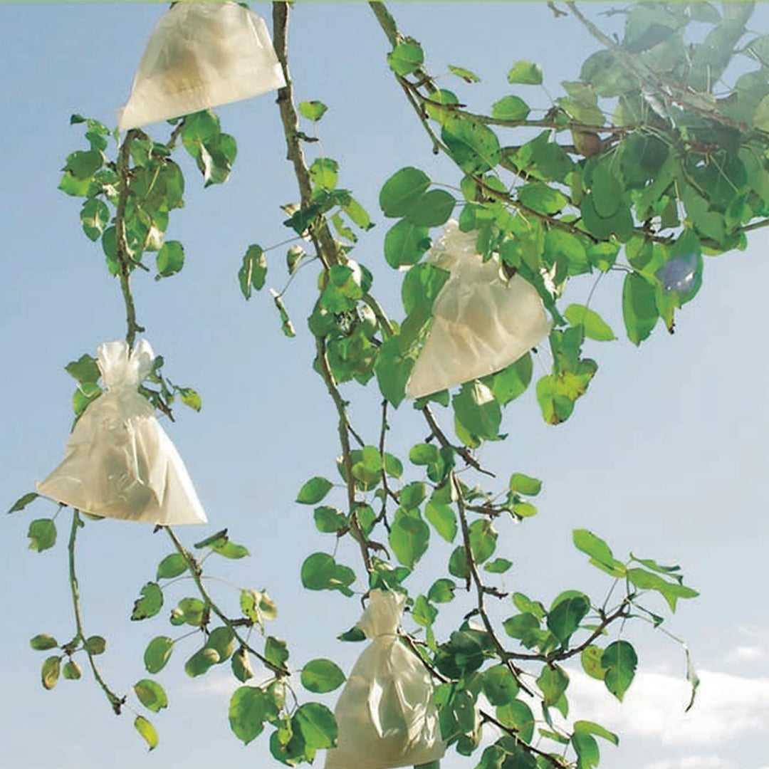 Pack 50 protectores para fruta fruitsac 17x12 cm blanco nortene