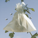 PACK OF 50 FRUITSAC FRUIT PROTECTORS 20X30 CM WHITE NORTENE