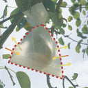 PACK OF 50 FRUITSAC FRUIT PROTECTORS 20X30 CM WHITE NORTENE