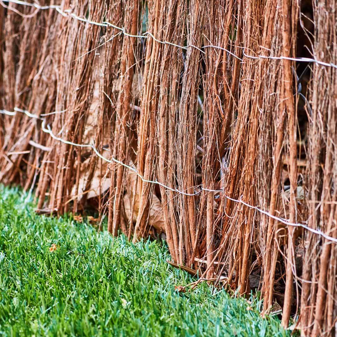 BREZO NATURAL ECOLÓGICO MEDIUM 1200-1500 GR