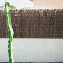 BREZO NATURAL ECOLÓGICO EXTRA 2500-2900 GR