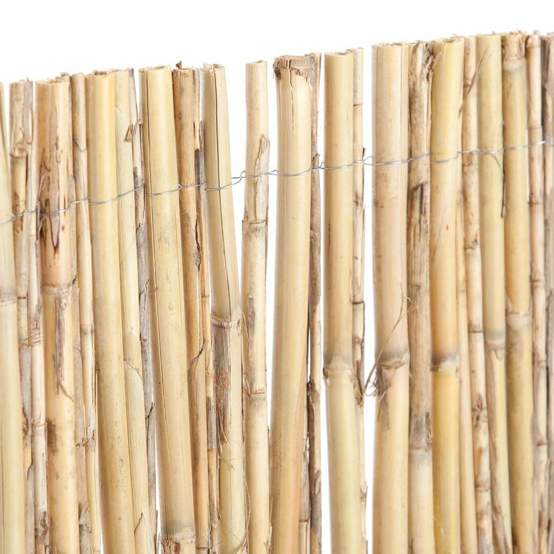 Cañizo entero natural excelcane nortene