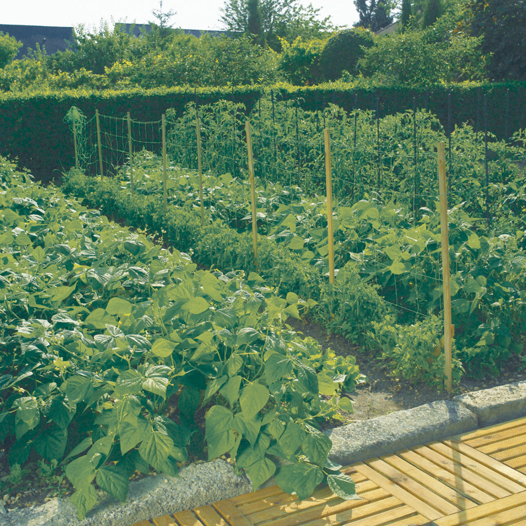 Malla para entutorar trellinet verde nortene