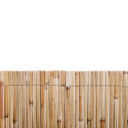 CAÑIZO ENTERO VARILLA MEDIA 