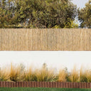 CAÑIZO ENTERO VARILLA MEDIA 