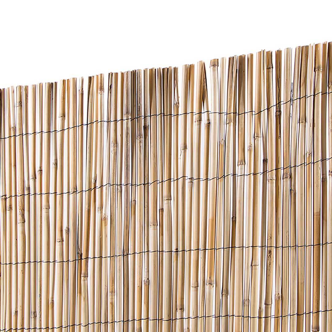 CAÑIZO ENTERO VARILLA MEDIA 