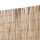 CAÑIZO ENTERO VARILLA MEDIA 