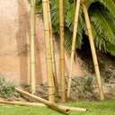 Tutor decorativo bamboo deco 35-40 mm 1.8 m nortene