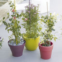 Tutor steel plast verde nortene