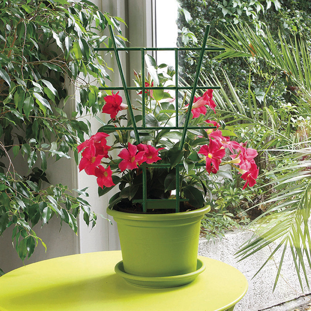 Tutor espaldera echelle 50 cm verde nortene