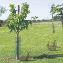 PACK OF 10 TREEGUARD NORTENE ANTI-RODENT PROTECTIVE MESH