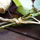 Raphia natural 150 gr nortene