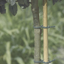 PACK OF 20 PLASTIC TIES FOR TREE SUPPORTS FIX 35 CM GREEN NORTENE