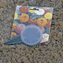 Sembradora para semillas seed verde nortene