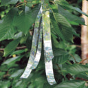 Cinta espantapajaros visual repuls 0.02x30 m nortene