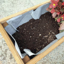 Filtro drenaje 0,60x3 m gris nortene