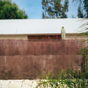 MIMBRE SIN PELAR 2.00X5