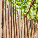 Mimbre partido bicolor