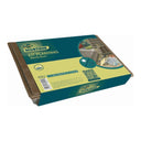 Kit de plantação 35x23,5 cm castanho do norte