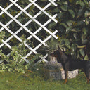 Celosia extensible pvc trelliflex blanco nortene