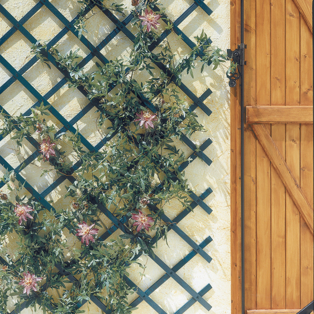 Celosía extensible pvc trelliflex verde nortene