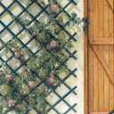 Celosía extensible pvc trelliflex verde nortene