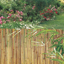 Cañizo entero barnizado bambooflex