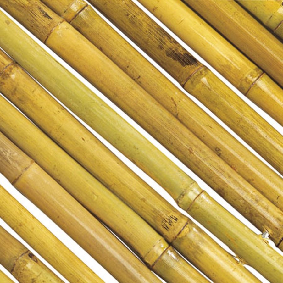 Cañizo entero barnizado bambooflex