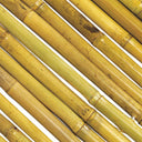 Cañizo entero barnizado bambooflex