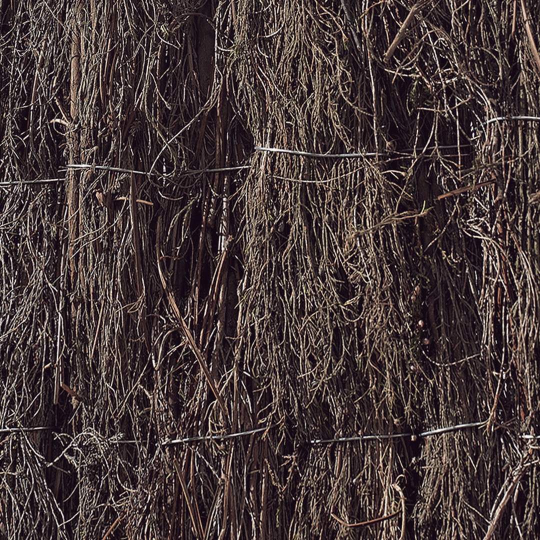 bruyère rustique espagnole bruc extra nortene