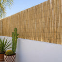 Cañizo bambu pelado reedcane nortene