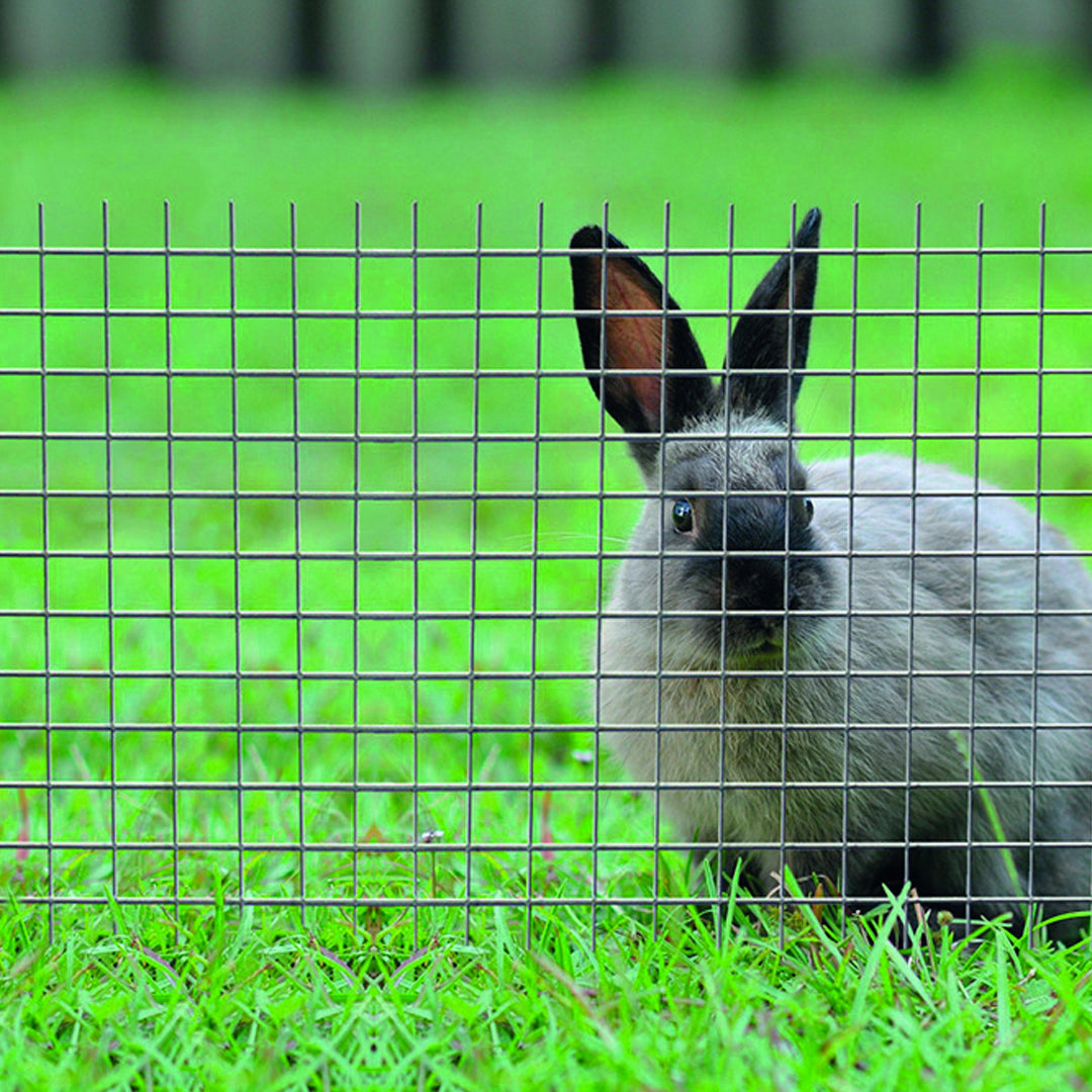 Malla metalica electrosoldada fensanet cuad 12mm nortene