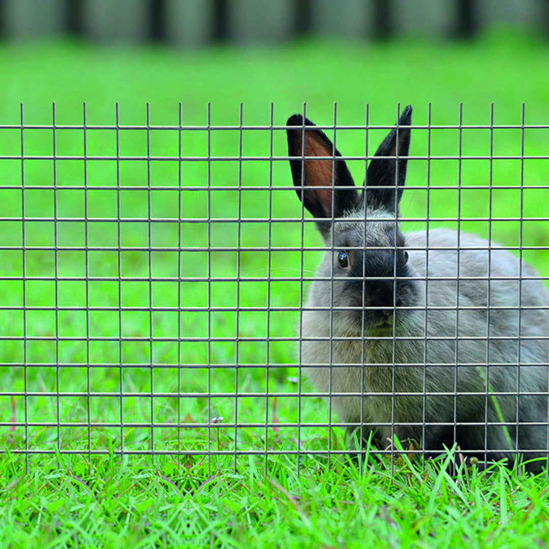 Malla metalica electrosoldada fensanet cuad 19mm nortene