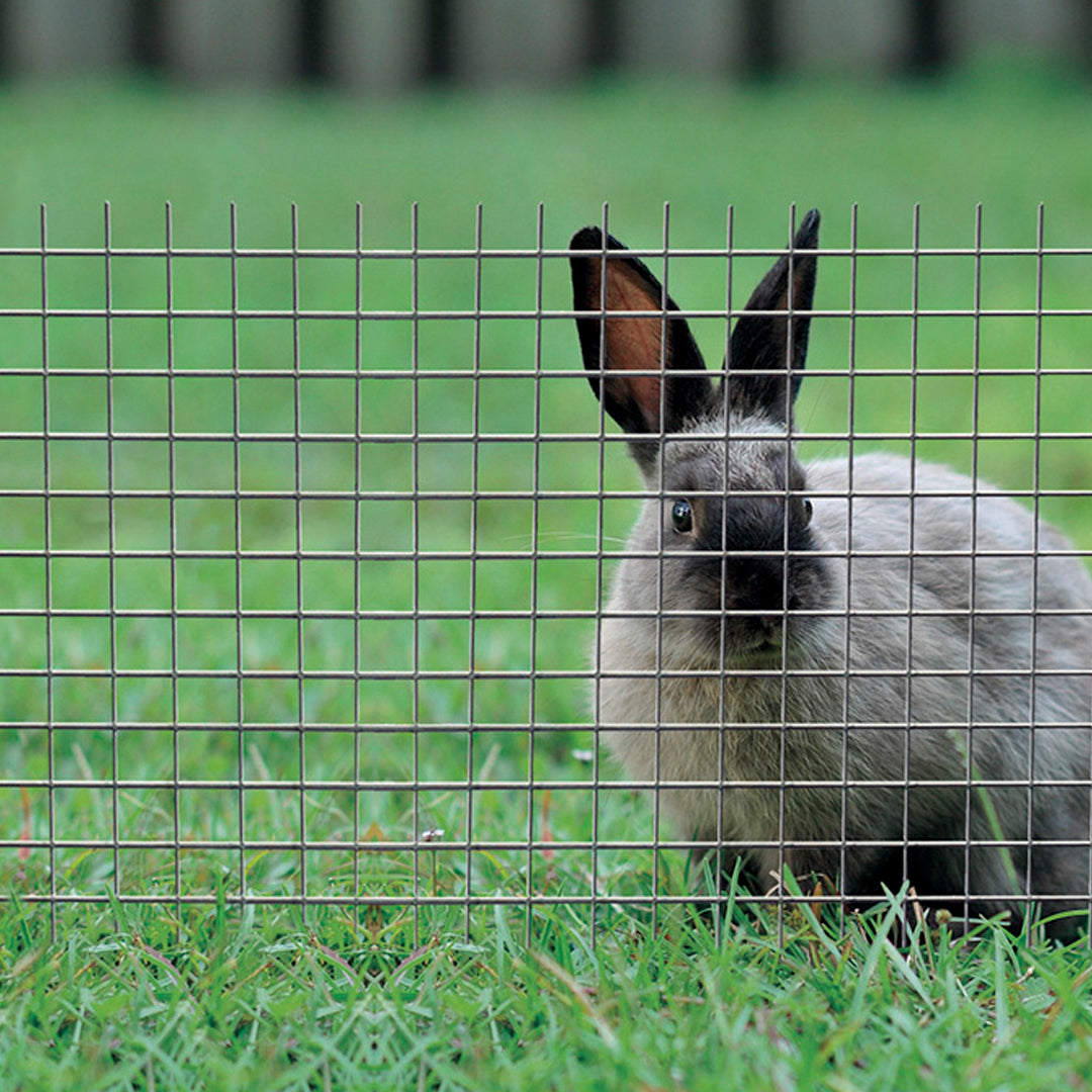 Malla metalica electrosoldada fensanet 1x5m cuad 25mm nortene