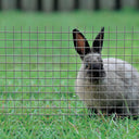 Malla metalica electrosoldada fensanet 1x5m cuad 25mm nortene