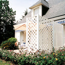 Celosia pp classic 64 mm 1x2 m blanco nortene