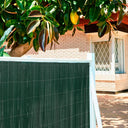 MIMBRE LOP ECOLÓGICO VERDE