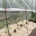 Clips film tomatera (x10) 13 mm naranja nortene