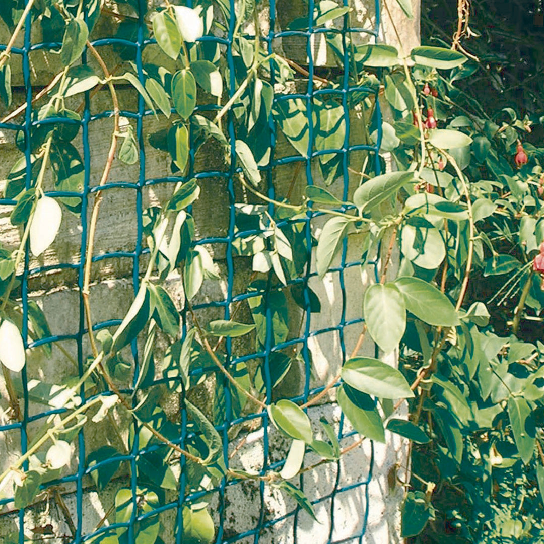 Malla plastica cuadrada colgante climbanet verde nortene