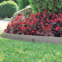 WOODTEC GARDEN EDGE BORDER 0.09X5 M BROWN NORTENE