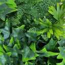 Jardin vertical costa 100 x 100 cm nortene