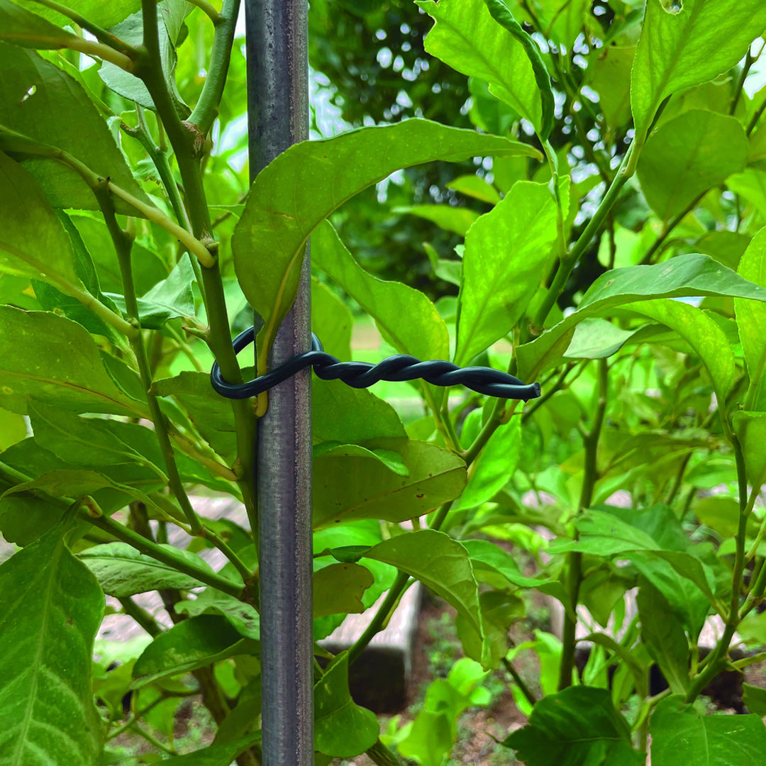 Abrazadera de espuma biflex 3.5 mm 10 m verde nortene