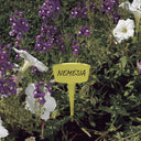 Etiqueta color 15cm 16 unidades nortene