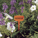 Étiquette couleur 15 cm 16 unités nordène