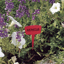 Étiquette couleur 15 cm 16 unités nordène