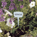 Étiquette couleur 15 cm 16 unités nordène