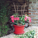 ECHELLE BACK GUARD 50 CM NORTENE BROWN 